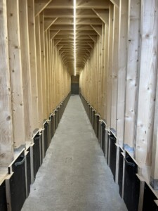 Plantørke i Tjølling. Vestfold, 2025