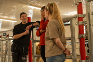 Åpent fjøs hos Ola Holst. Alvdal, 2025