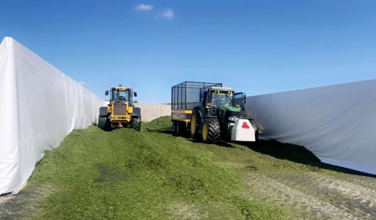 Ny plansilo klar i Dalsbygda Ny plansilo klar i Dalsbygda