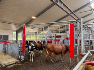 Dädesjö Prästgård, 2025