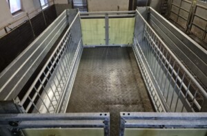 Apetittfôrkasse for sau og geit