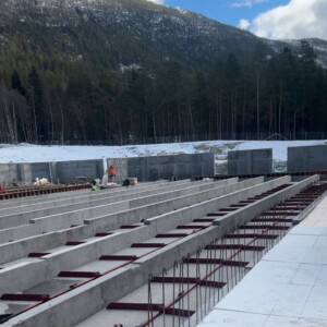 492521953_1094139549408081_311043326470720925_n Møkkatrekk på Dalir. April 2025