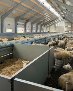 Toreparten Gaard, 2025