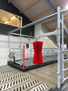 Oppstart nytt fjøs hos Kent Tore Rusdal. Jourdain innredning, Agricow kubørste og madrasser fra Promat. Hovsherad 2025