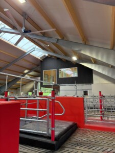 Oppstart nytt fjøs hos Kent Tore Rusdal. Jourdain innredning, madrasser fra Promat og helikoptervifter fra Agricow. Hovsherad 2025