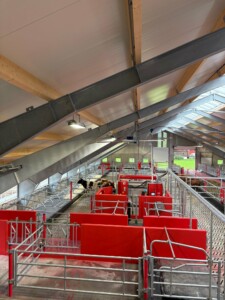 Oppstart nytt fjøs hos Kent Tore Rusdal. Hovsherad 2025