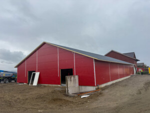 Anne Stiklestad Stene på Stiklestad, 2025