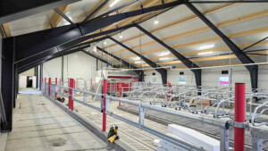 Anne Stiklestad Stene på Stiklestad, 2025