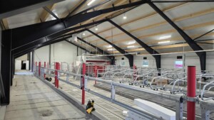 Anne Stiklestad Stene, Verdal 2025