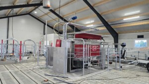 Anne Stiklestad Stene, Verdal 2025