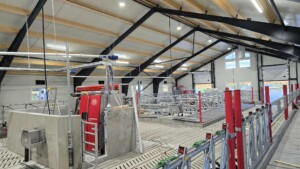 Anne Stiklestad Stene, Verdal 2025