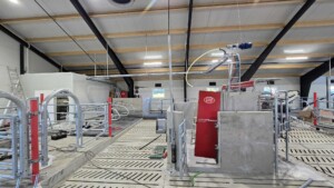 Anne Stiklestad Stene, Verdal 2025