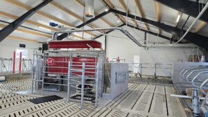 Anne Stiklestad Stene, Verdal 2025