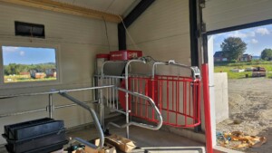 Anne Stiklestad Stene, Verdal 2025