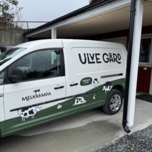 Plevnik på Ulve Gård, Levanger 2025