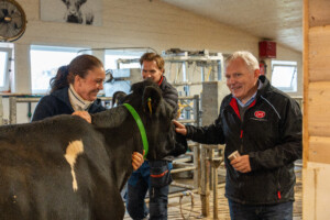 Åpent fjøs hos familien Kvebu på gården Bjørli. Sør-Fron 2025