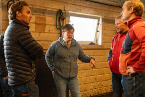 Åpent fjøs hos familien Kvebu på gården Bjørli. Sør-Fron 2025