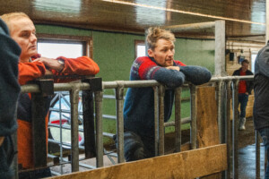 Åpent fjøs hos familien Kvebu på gården Bjørli. Sør-Fron 2025