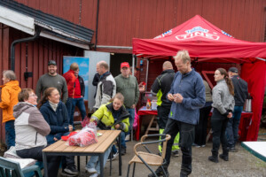 Åpent fjøs hos familien Kvebu på gården Bjørli. Sør-Fron 2025