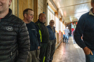 Åpent fjøs hos Hans Ulberg. Sør-Fron 2025