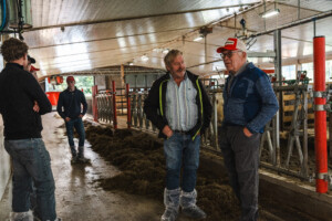 Åpent fjøs hos Hans Ulberg. Sør-Fron 2025