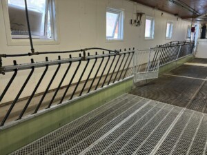 Lammesikre fronter hos Anette og Fredrik Kirkelund i Hernes, 2025