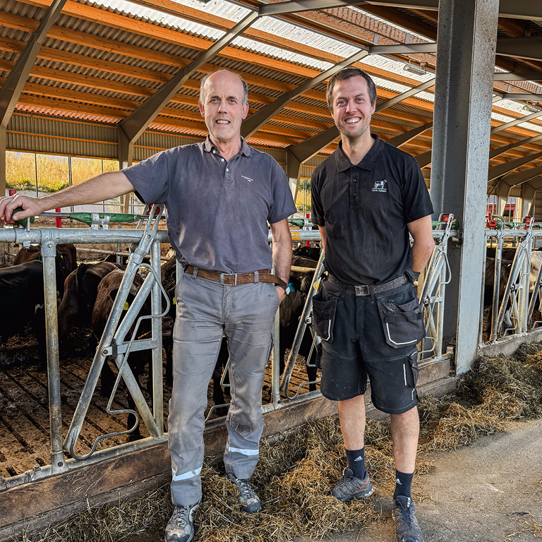 Holstein-suksessen i luftige katedralfjøs Holstein-suksessen i luftige katedralfjøs