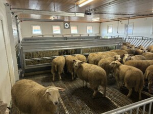 Storbingeløsning hos Anette og Fredrik Kirkelund i Hernes, 2025