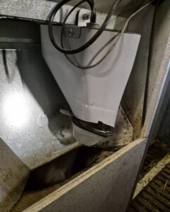 Kraftfôrstasjon til sau. November 2025