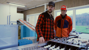 Damtech Optipack 70 – kompakt og effektiv eggpakker