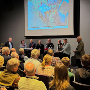 Grisepodden "Gris i 25"