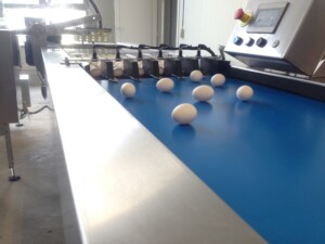 Damtech Optipack 70 eggpakkemaskin