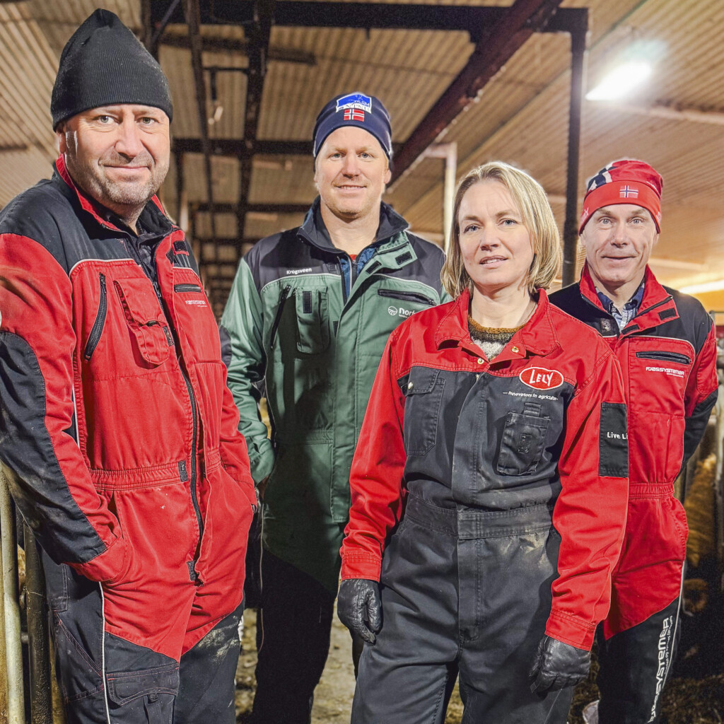 Reine okser – bedre økonomi og dyrevelferd