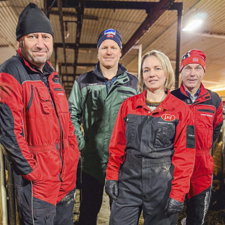 Reine okser – bedre økonomi og dyrevelferd