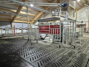 Lely Astronaut A5 Next robot og Lely Grazeway. Magne Landrø og May Rita Olsen. Lensvik, desember 2025.