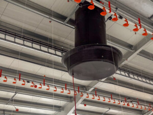 Rugeegghus hos Tom Erik Klevmo Staur. Snåsa, desember 2025