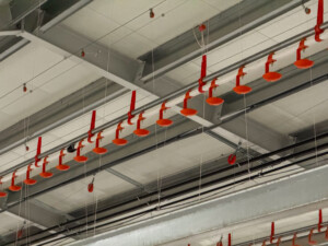 Rugeegghus hos Tom Erik Klevmo Staur. Snåsa, desember 2025