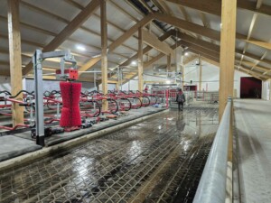 Zig Zag gummi fra og Kraiburg Agri spaltegummi, i tillegg til Suding Digofloor betongspalter. Kubørster fra Agricow World. Magne Landrø og May Rita Olsen. Lensvik, desember 2025.