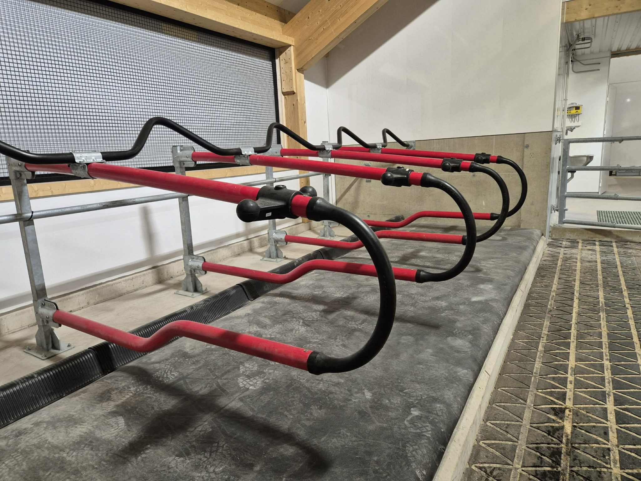 EasyFix Dream fleksible liggebåser med buet nakkerør og Cow-guide og 90 mm Pasture Mat fra Promat Inc. Magne Landrø og May Rita Olsen. Lensvik, desember 2025.