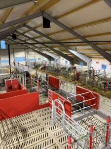 Bjørnar Bjerkreim, Legå i Øvre Hetland. Egersund, desember 2025