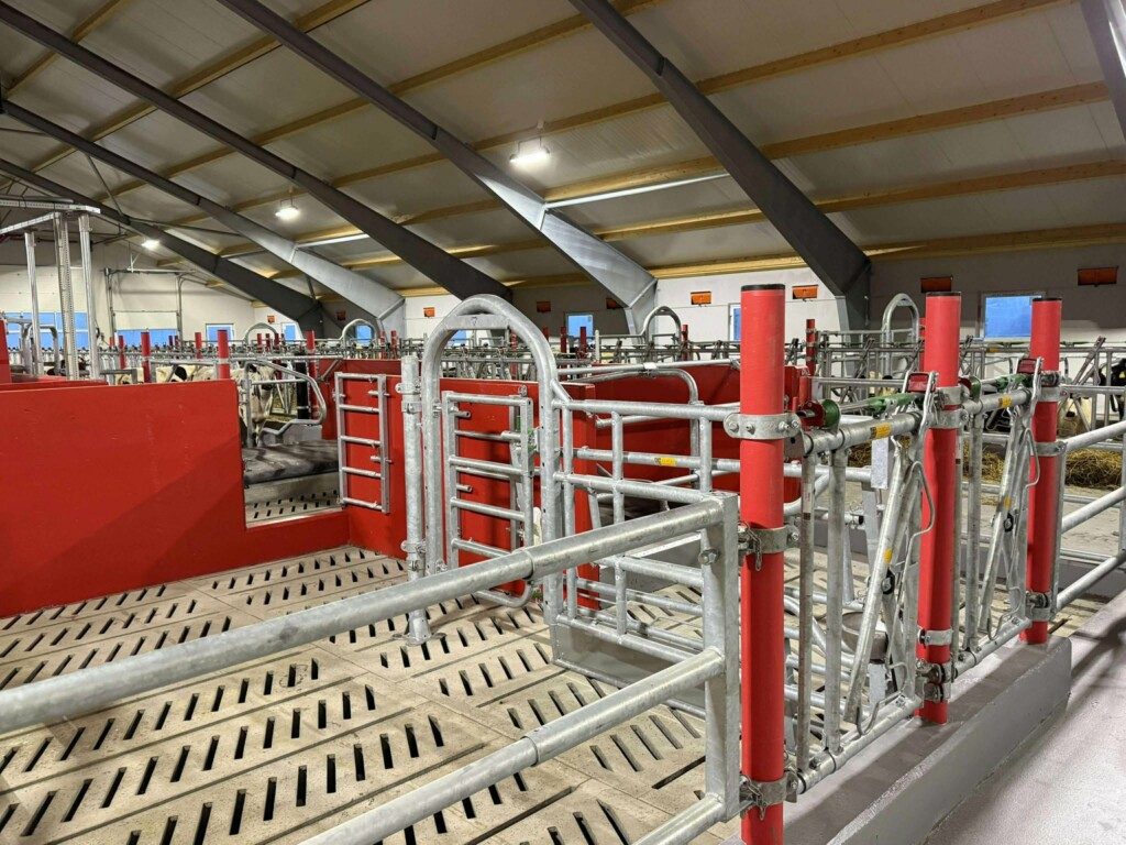 Nytt, flott robotfjøs i gang på Øvre Hetland i Egersund