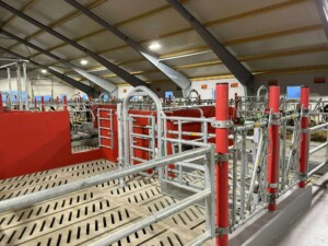 Bjørnar Bjerkreim, Legå i Øvre Hetland. Egersund, desember 2025