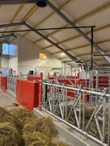 Bjørnar Bjerkreim, Legå i Øvre Hetland. Egersund, desember 2025