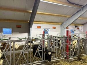 Bjørnar Bjerkreim, Legå i Øvre Hetland. Egersund, desember 2025