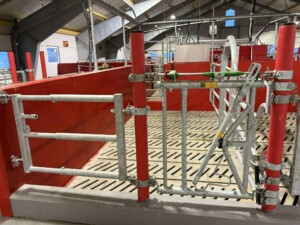 Bjørnar Bjerkreim, Legå i Øvre Hetland. Egersund, desember 2025