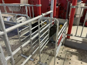 Bjørnar Bjerkreim, Legå i Øvre Hetland. Egersund, desember 2025