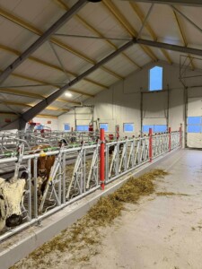 Bjørnar Bjerkreim, Legå i Øvre Hetland. Egersund, desember 2025