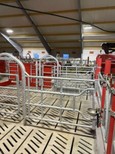 Bjørnar Bjerkreim, Legå i Øvre Hetland. Egersund, desember 2025