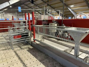 Bjørnar Bjerkreim, Legå i Øvre Hetland. Egersund, desember 2025