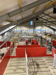 Bjørnar Bjerkreim, Legå i Øvre Hetland. Egersund, desember 2025